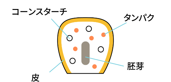 とうもろこしの中身