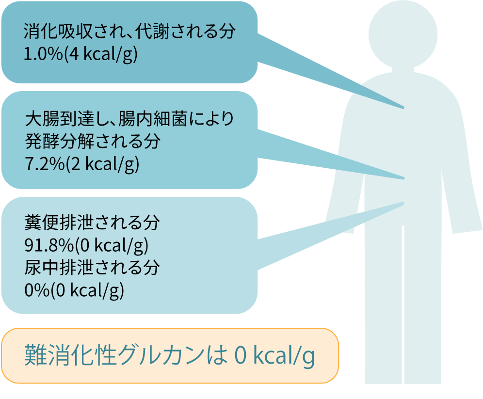 難消化性グルカン