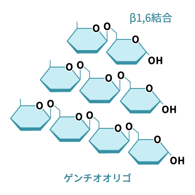 β1.6結合 ゲンチオビオース