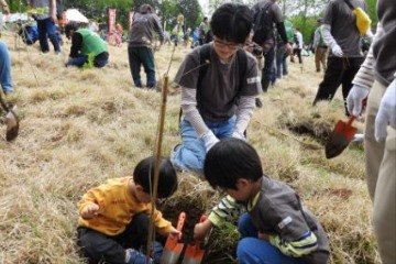 社外_個別写真(ブナ植林2026).jpg