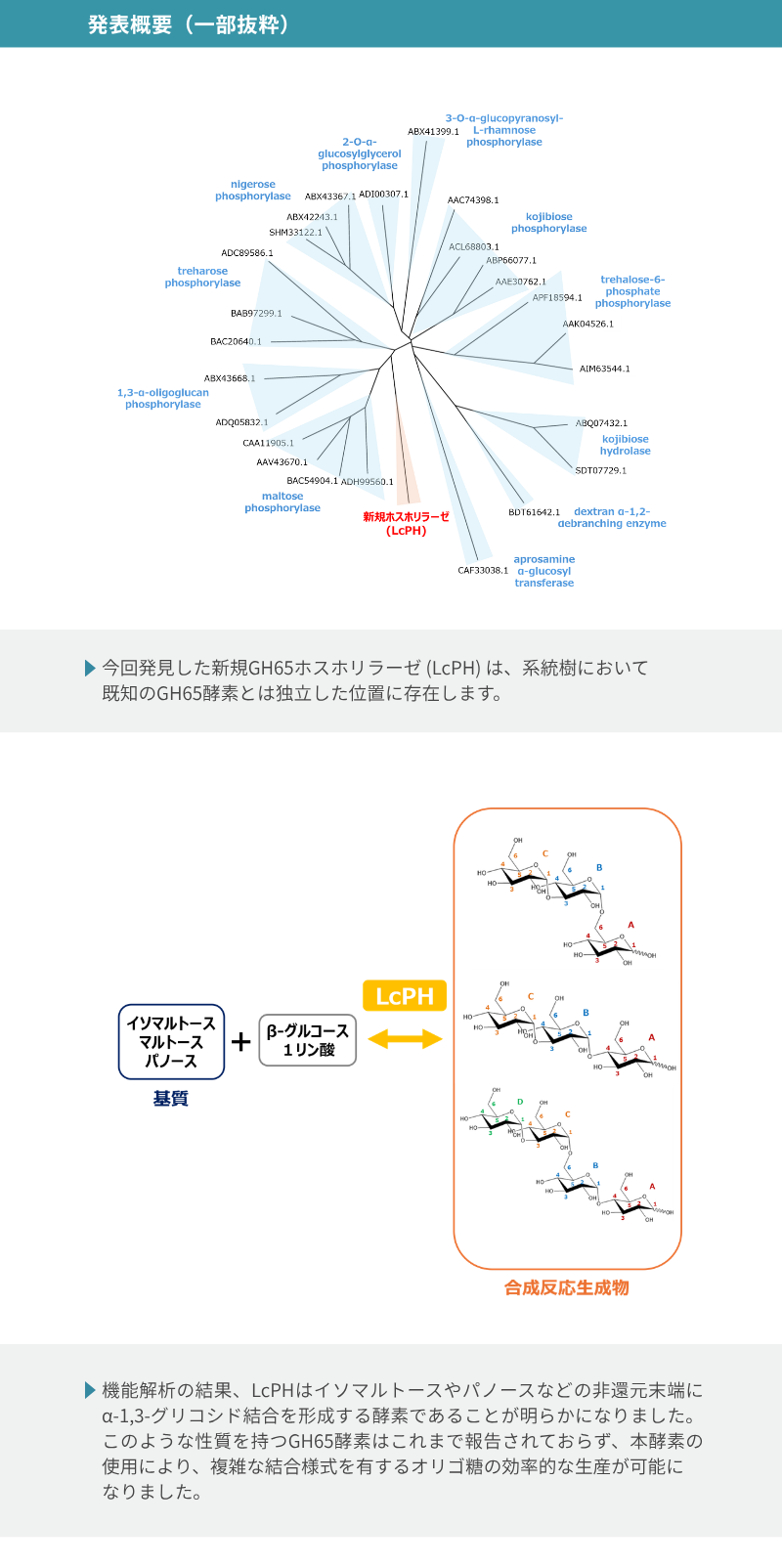 研究成果26820_02.png